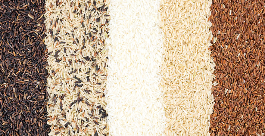 Different Varieties of Basmati Rice